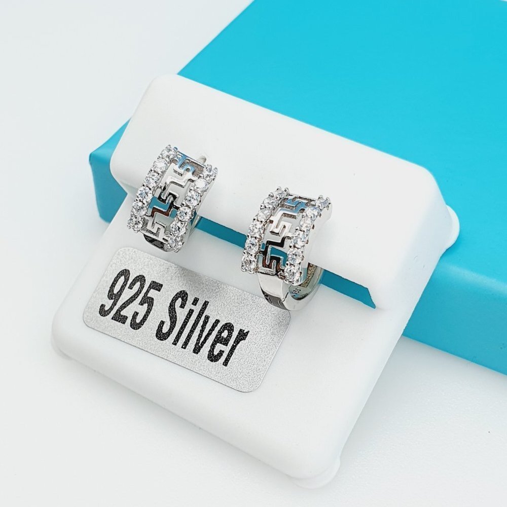 "925 Sterling Silver CZ Beautiful Earrings for Women, 1USPAR4300
